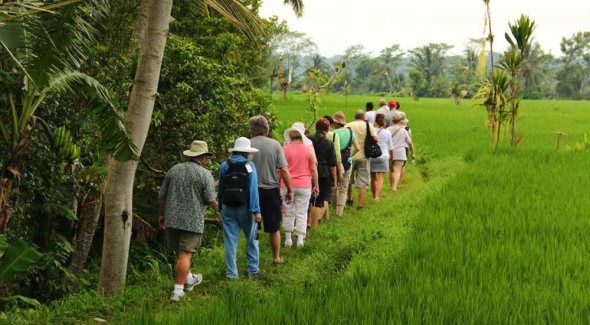 bali driver and guide private tour price